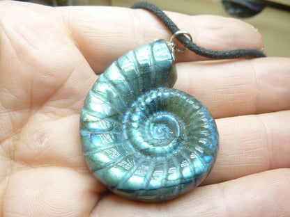 Pendentif amonite Labradorite spécial pour thérapeute 25 gr GGP 0901